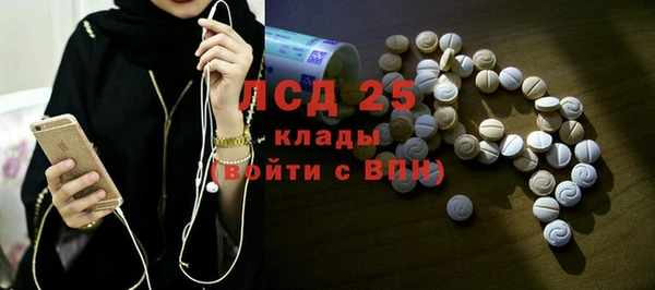 сатива Аркадак