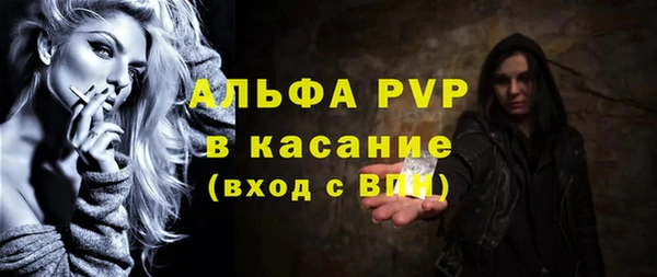 сатива Аркадак