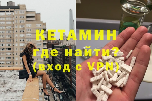 сатива Аркадак