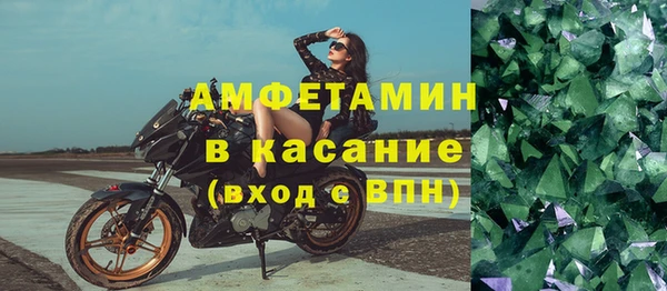 сатива Аркадак