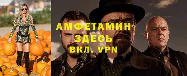 сатива Аркадак