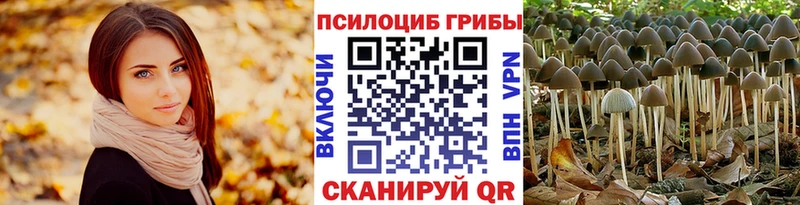 Галлюциногенные грибы прущие грибы  blacksprut ТОР  Сольцы 